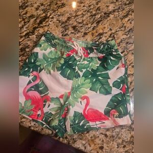 Tropical Flamingo Boys Sz 3 Janie & Jack Swim Trunks